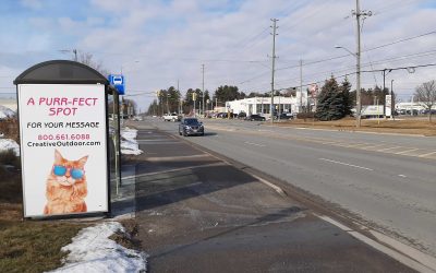 Bus Shelter Advertising Now Available in Cobourg!